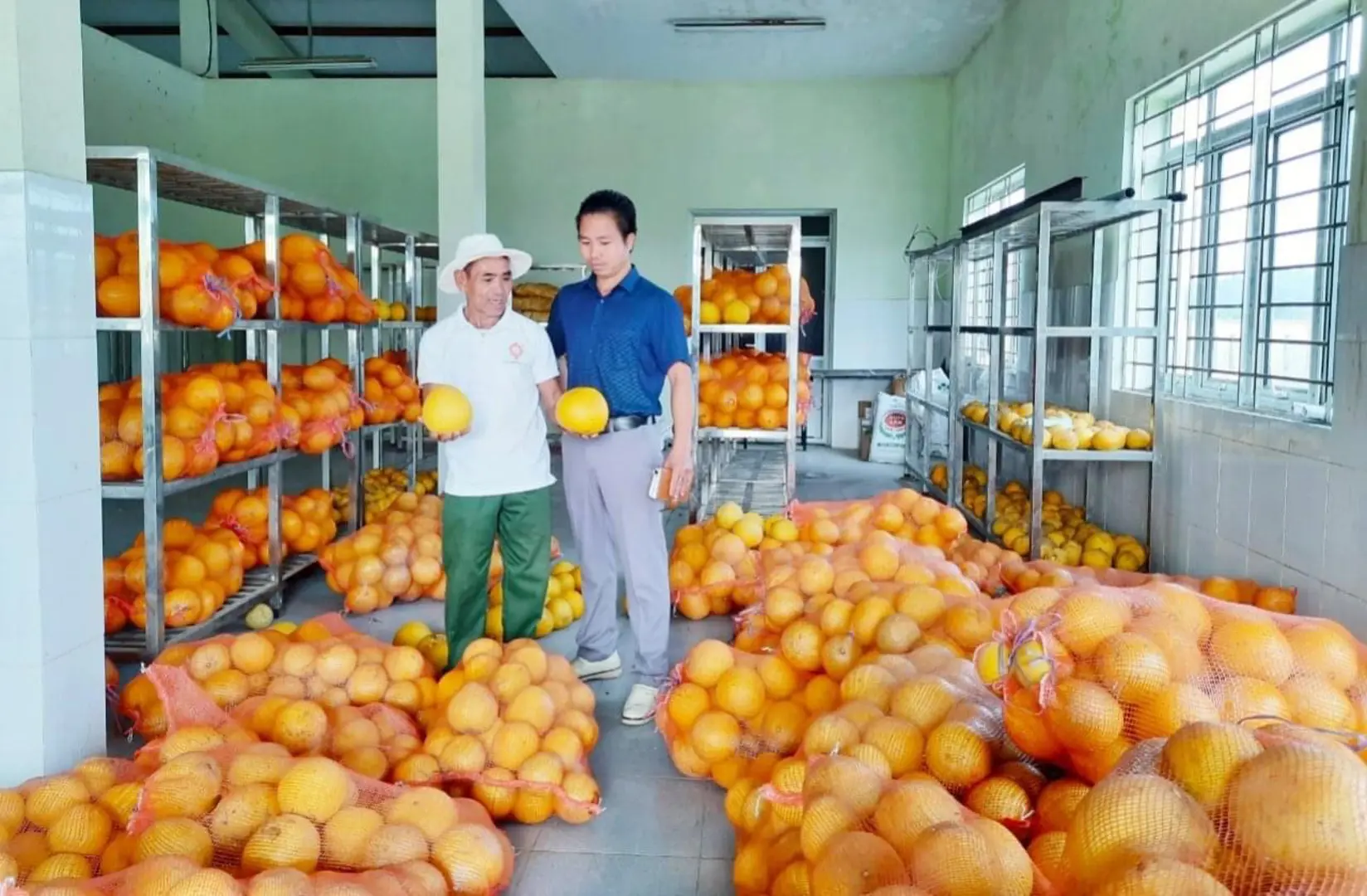 Hà Nội: Thu hút đầu tư, phát triển nông nghiệp hữu cơ