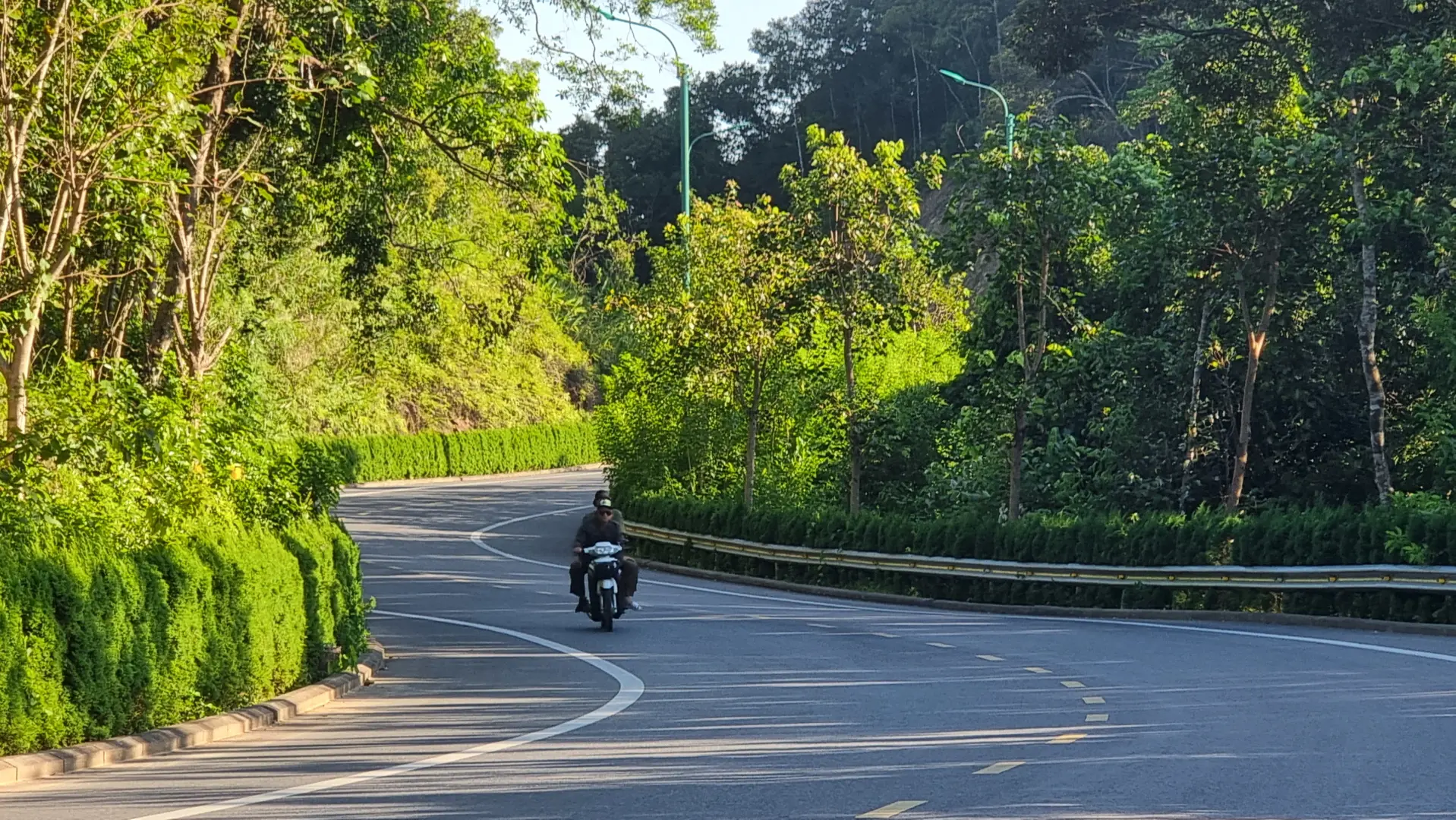 Trồng gần 20.000 cây, hoa tạo điểm nhấn đường vào Khu di tích Yên Tử