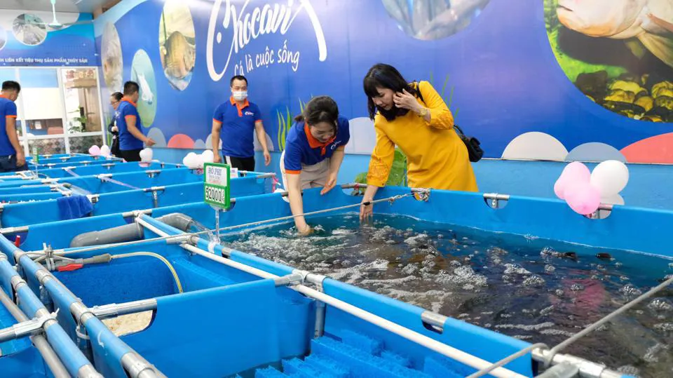 Khắc phục tình trạng chồng chéo trong thanh tra, kiểm tra doanh nghiệp, hộ kinh doanh