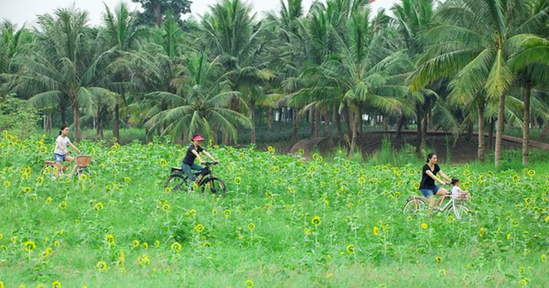 Ecopark và hành trình bền bỉ kiến tạo 'gia tài' xúc cảm