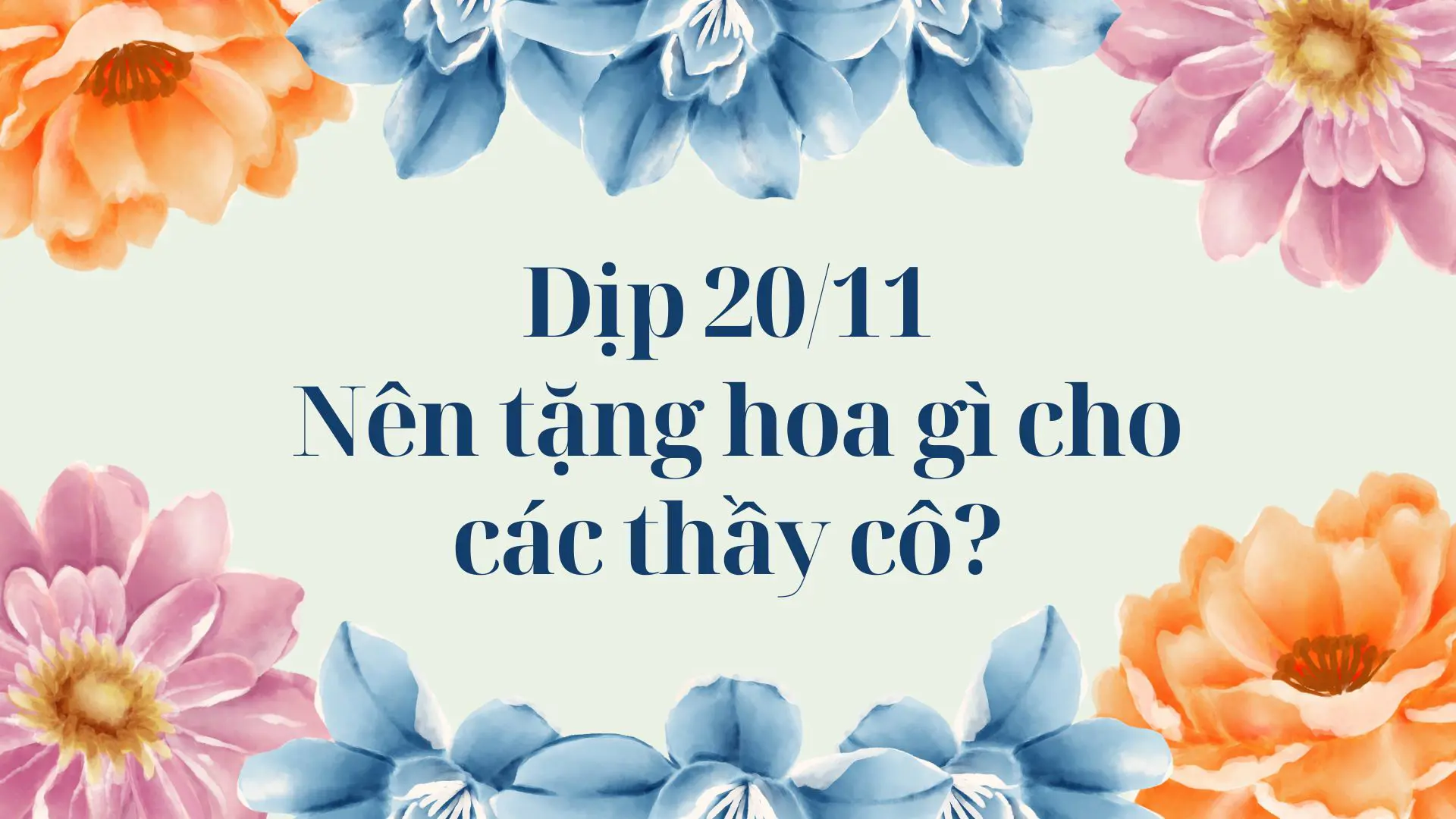 Dịp 20/11 nên tặng hoa gì cho các thầy cô?