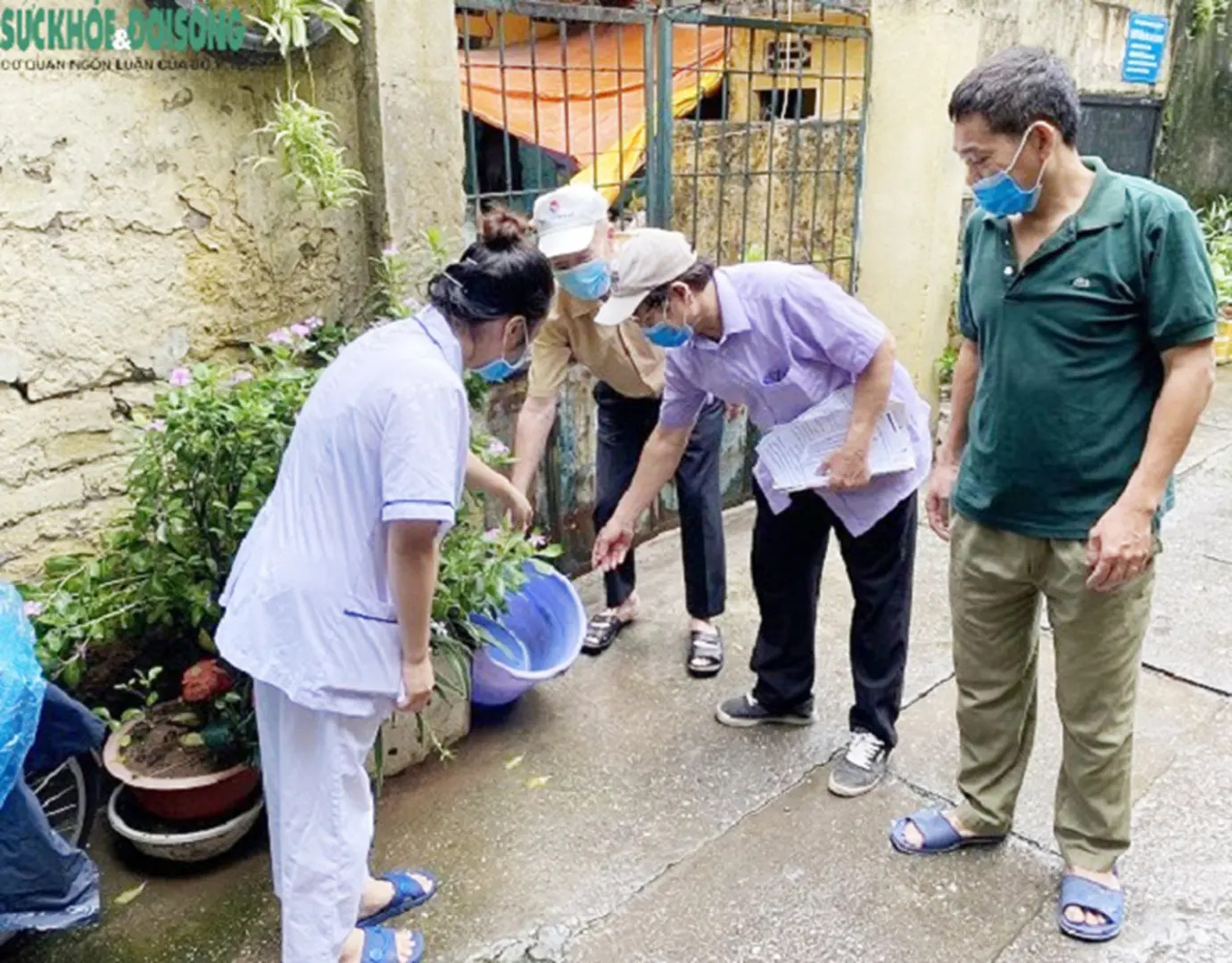 Sốt xuất huyết có thể tiếp tục gia tăng cuối tháng 11, giảm vào tháng 12