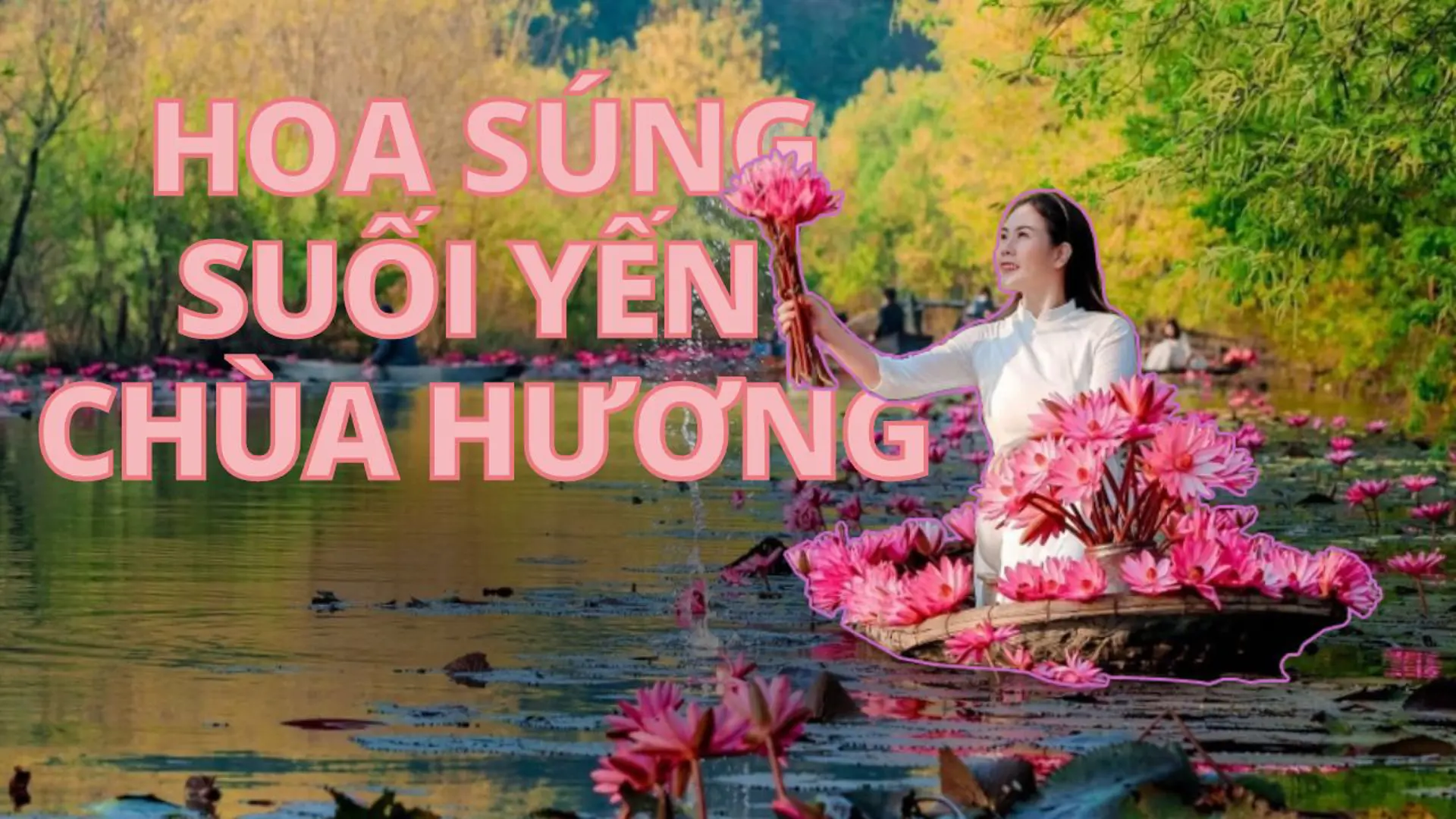 Đẹp nao lòng mùa hoa súng ở ngoại thành Hà Nội