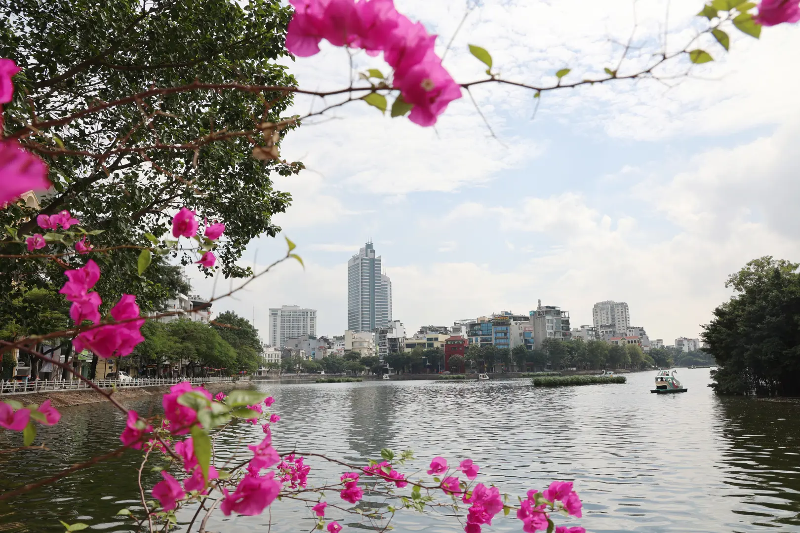 Chỉnh trang Khu phố ẩm thực đêm kết hợp đi bộ Đảo Ngọc – Ngũ Xã