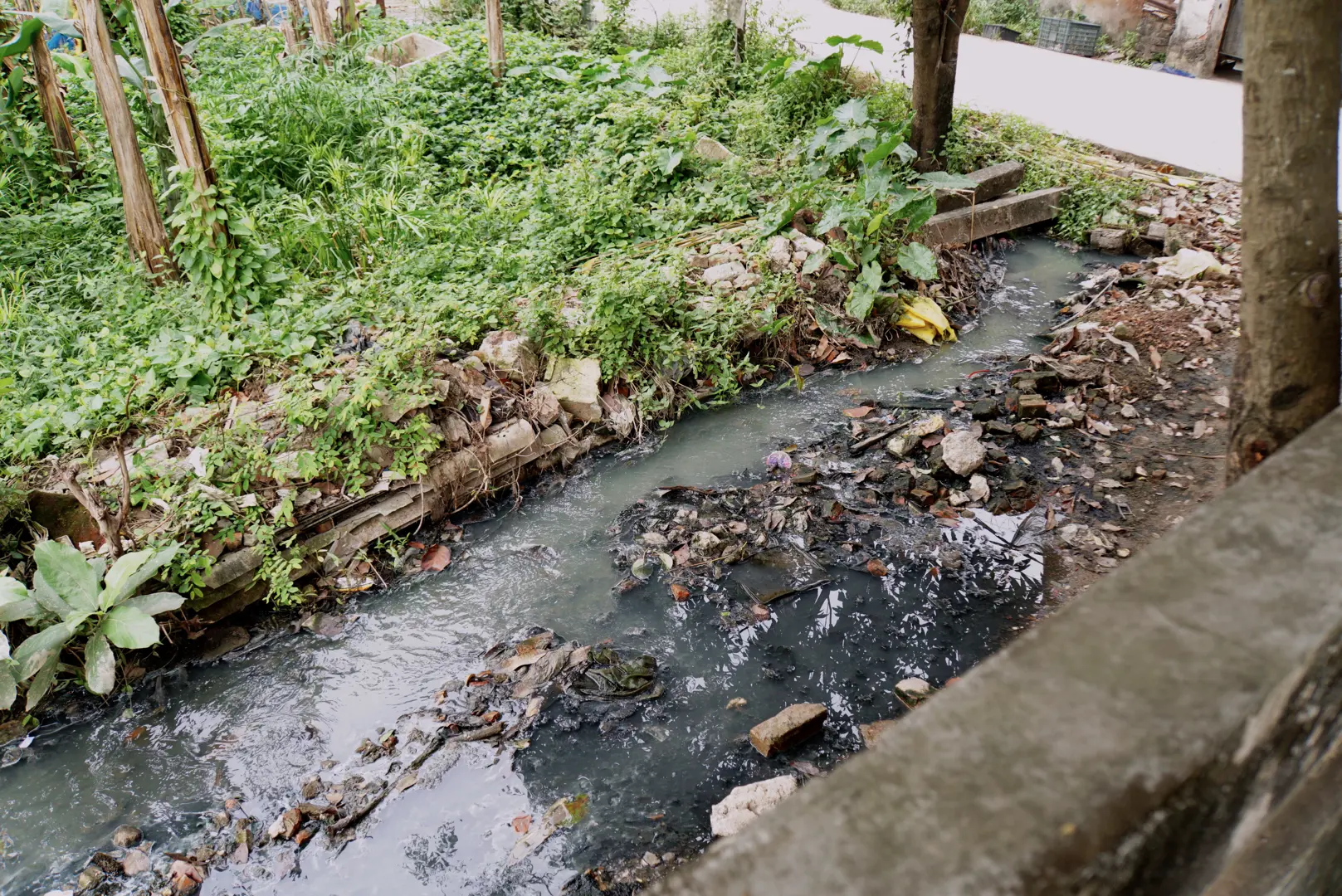 Cần giải quyết dứt điểm nguồn gây ô nhiễm môi trường