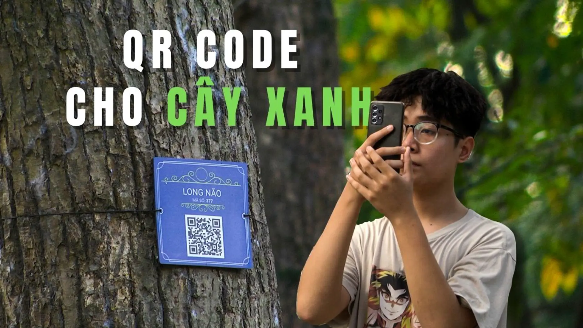 Gắn mã QR code để quản lý cây xanh