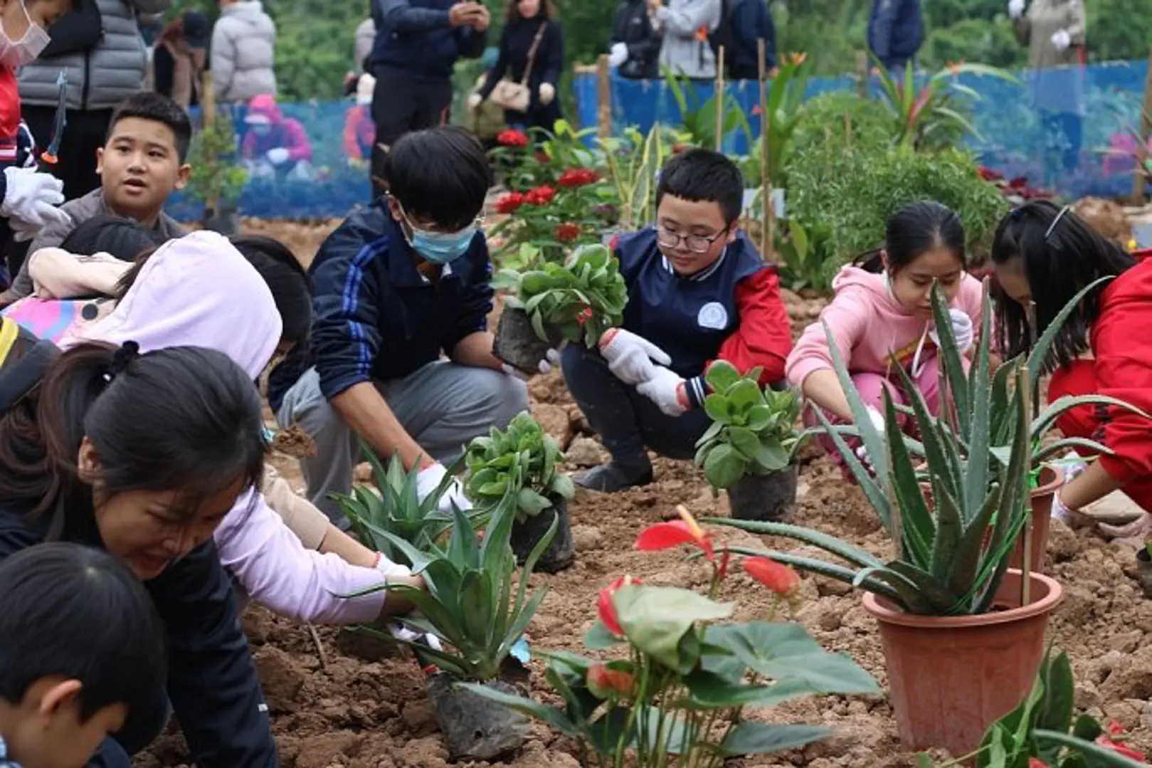 Làm sống lại không gian bờ vở sông Hồng