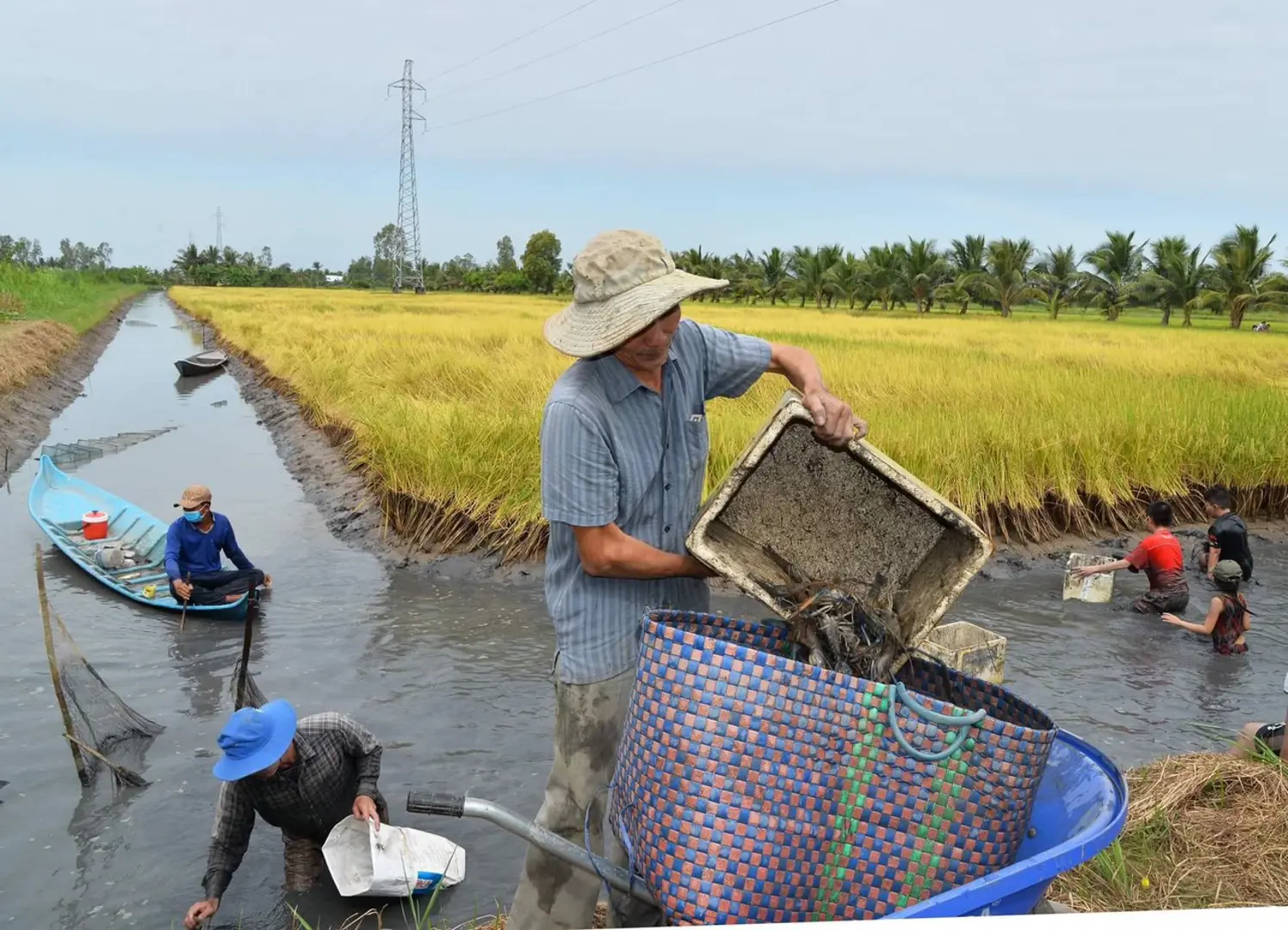 Đồng Tháp tổ chức họp báo Diễn đàn Mekong Startup - Lần 1 năm 2022