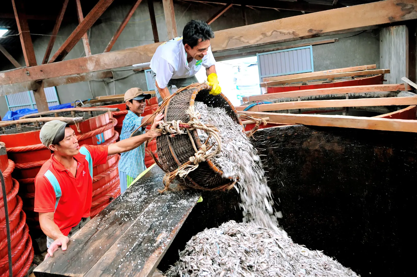 "Nghề làm Nước mắm Phú Quốc" đón bằng di sản phi vật thể cấp quốc gia