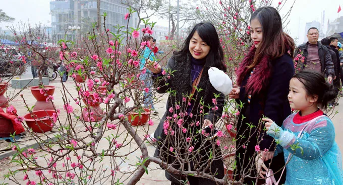 Hà Nội: Đảm bảo tổ chức đón Tết lành mạnh, an toàn, tiết kiệm