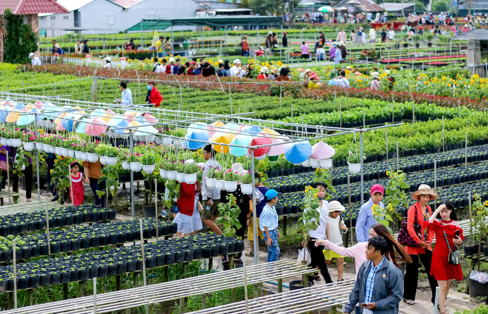 Đồng Tháp: GRDP tăng trưởng cao nhất trong 10 năm trở lại đây