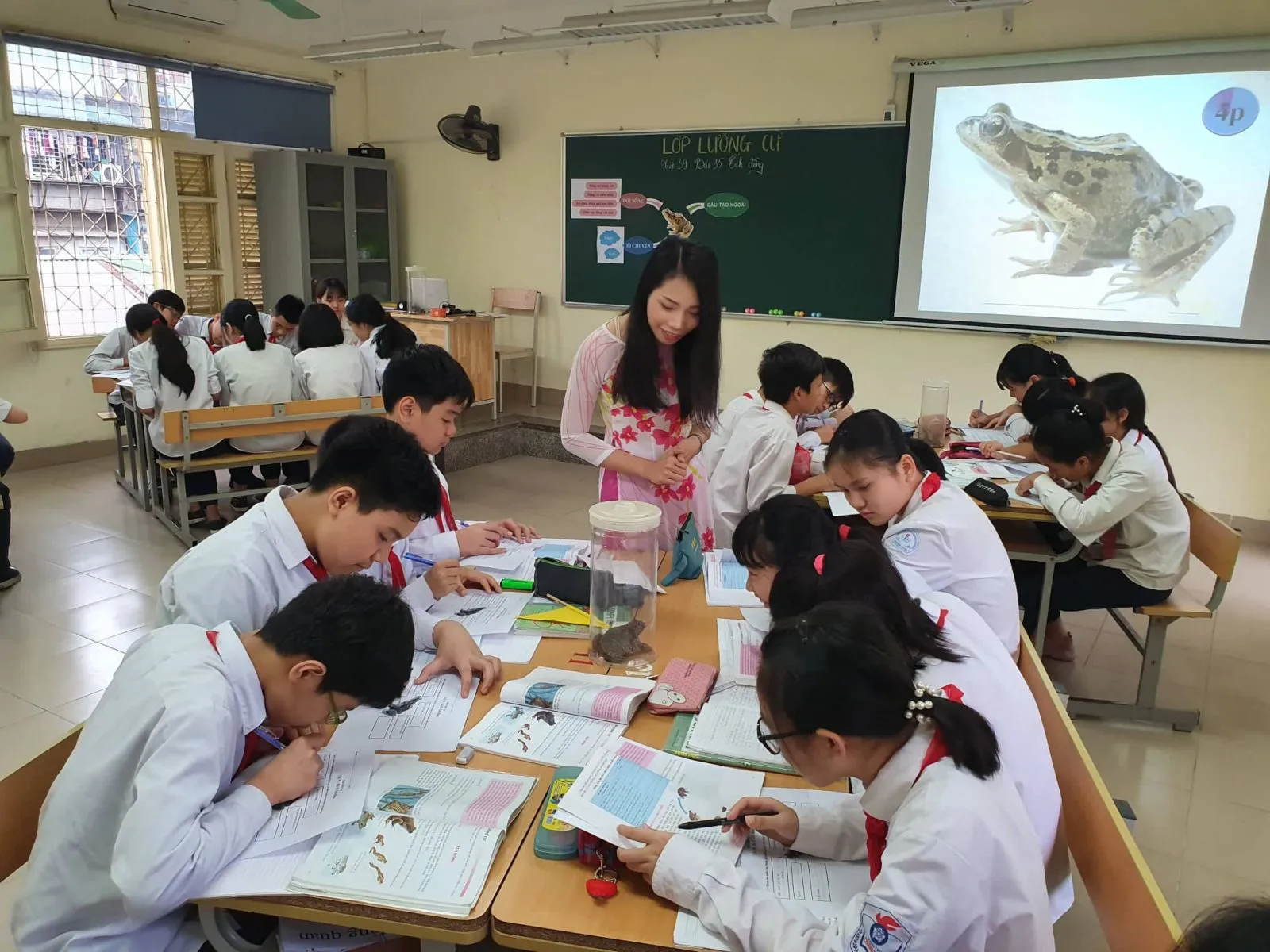 Lan tỏa tinh thần tình nguyện, giá trị nhân văn tới cộng đồng