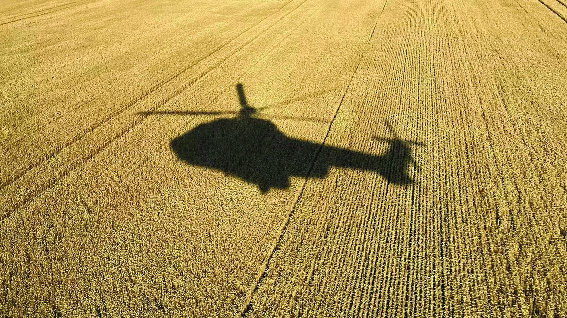 Châu Á biến đổi vì chiến sự Nga - Ukraine