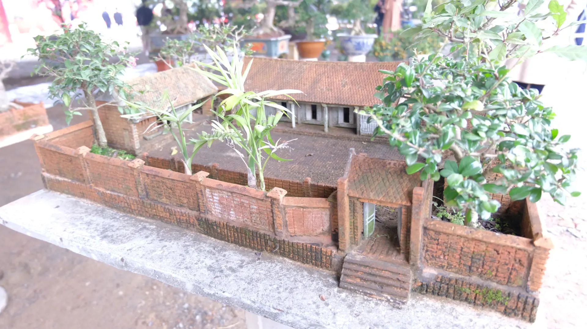 Ngắm nhìn làng quê Việt thu nhỏ dưới bàn tay nghệ nhân bonsai Hà thành