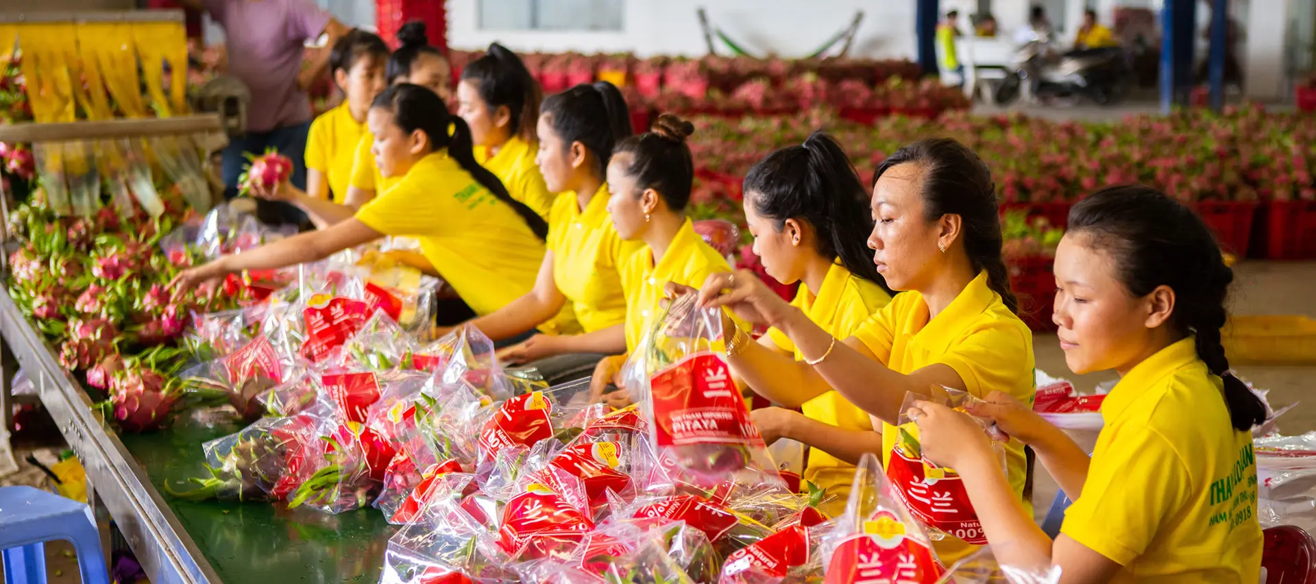 Việt Nam sẵn sàng phương án thông quan hàng hóa khi Trung Quốc mở cửa