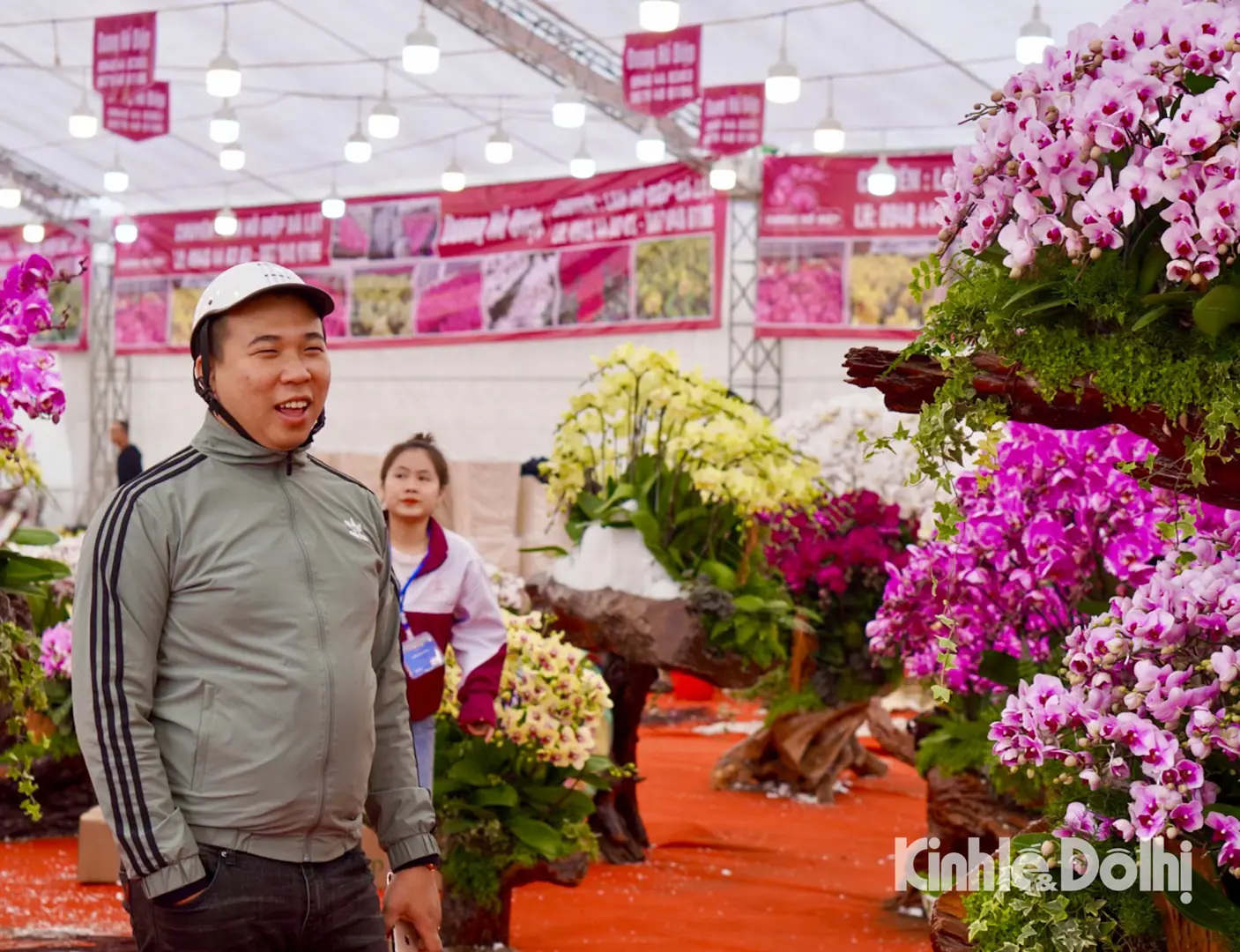 Cận cảnh lan Hồ Điệp bonsai giá trăm triệu thu hút người dân sắm chơi Tết