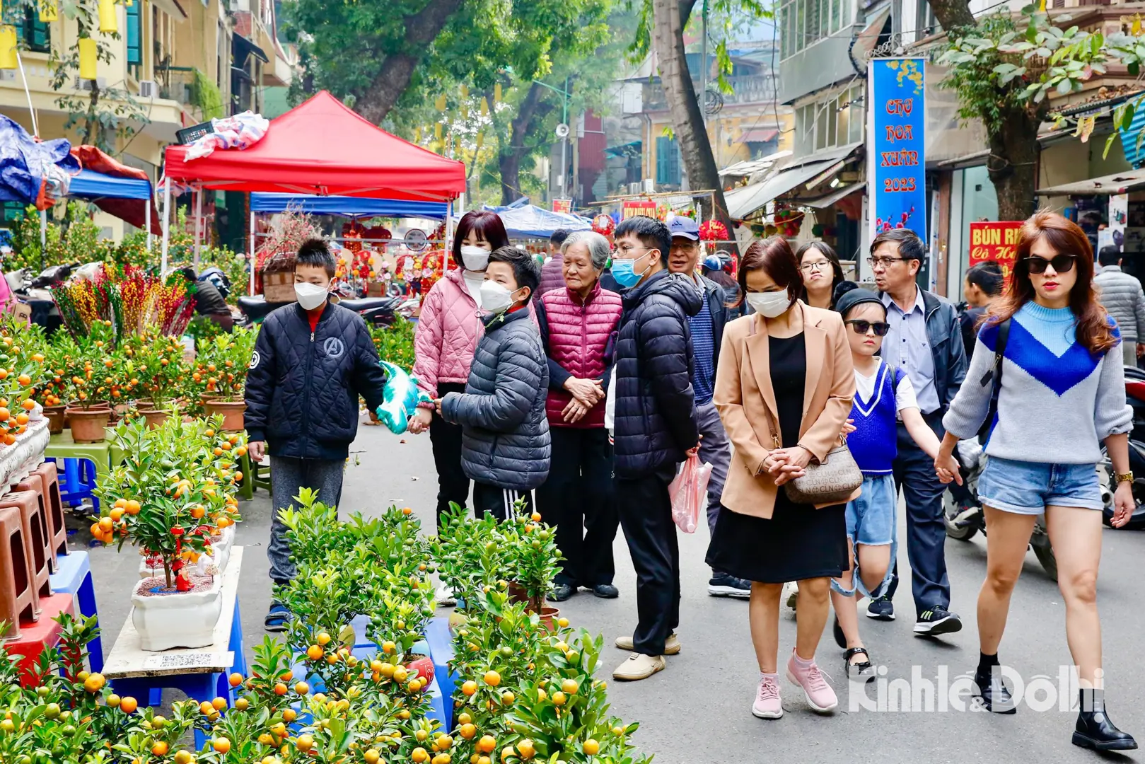 Chợ hoa Hàng Lược nhộn nhịp những ngày cận Tết Nguyên đán 2023