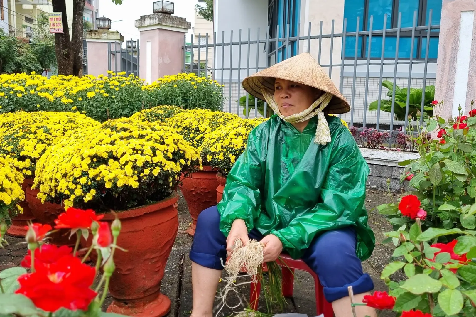 Chợ hoa Xuân lớn nhất Quảng Ngãi: 27 Âm lịch vẫn chưa thấy Tết