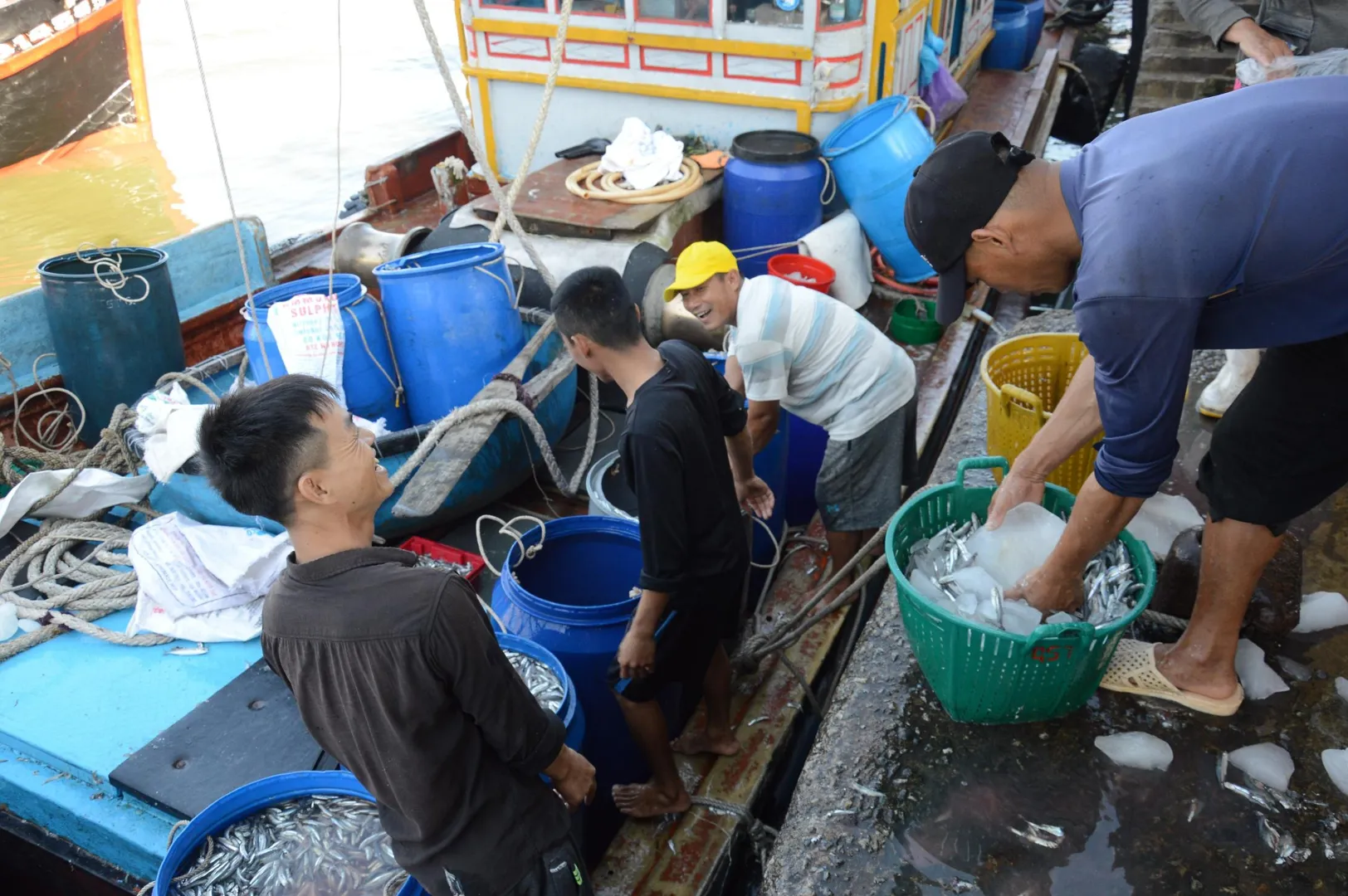 Ngư dân hốt bạc vì trúng đậm cá cơm ngày giáp Tết