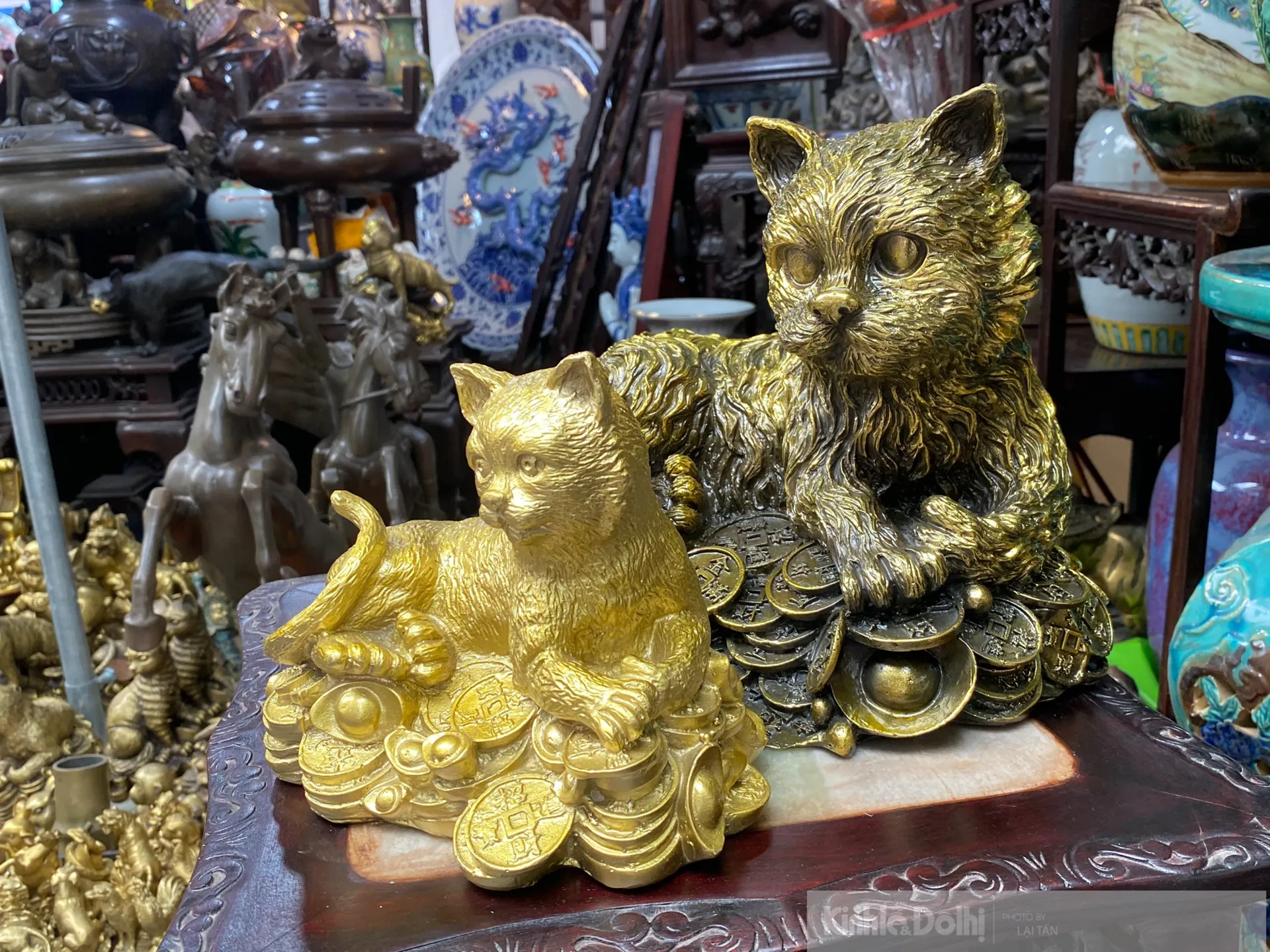 [ẢNH] Mèo cổ độc đáo tại phiên chợ họp duy nhất 1 lần trong năm