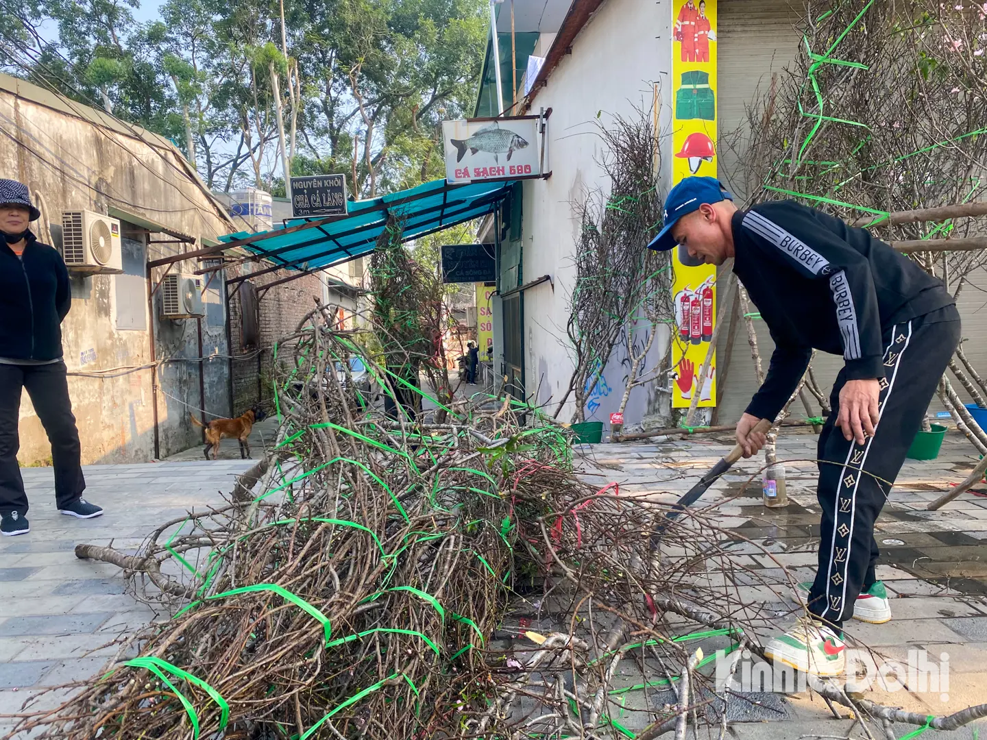 Chiều 30 Tết: Đào, quất hạ giá không ai mua, tiểu thương ấm ức chặt bỏ