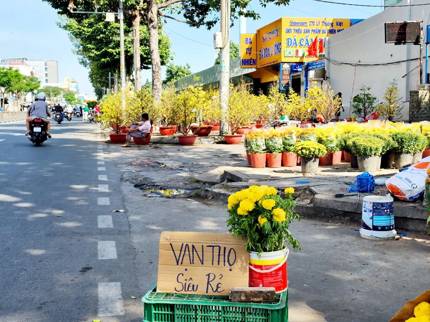 TP Hồ Chí Minh: Chợ hoa 30 Tết, tiểu thương giảm giá, xả hàng vớt vốn