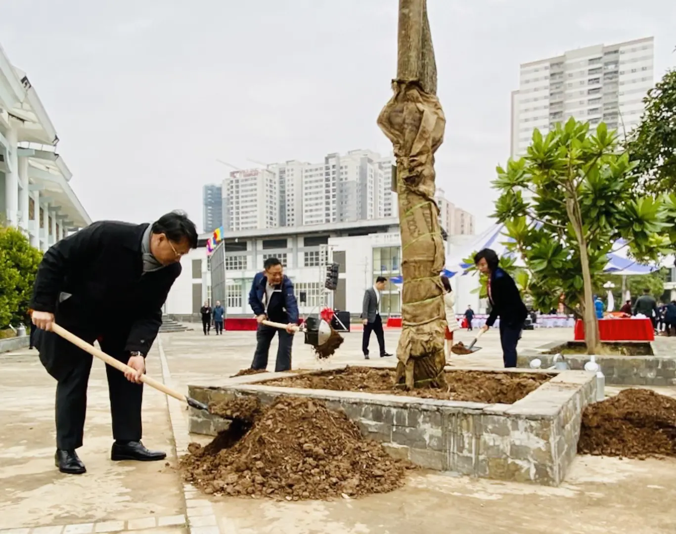 Quận Thanh Xuân phát động Tết trồng cây Xuân Quý Mão