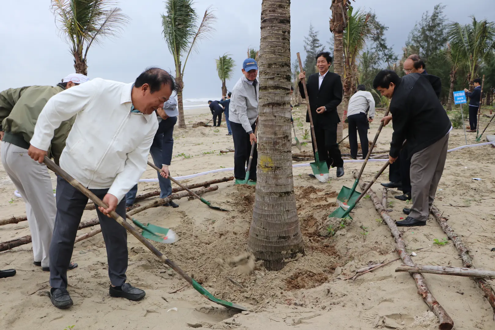 Quảng Ngãi: Nhiều địa phương ra quân trồng cây đầu năm