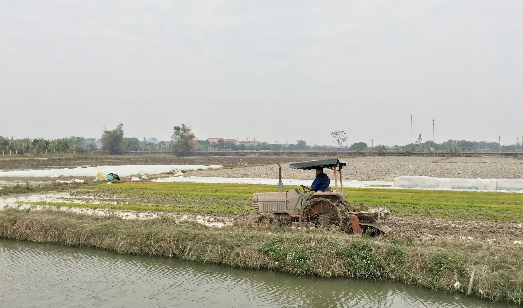 Hà Nội: Nông dân tích cực xuống đồng sản xuất đầu năm