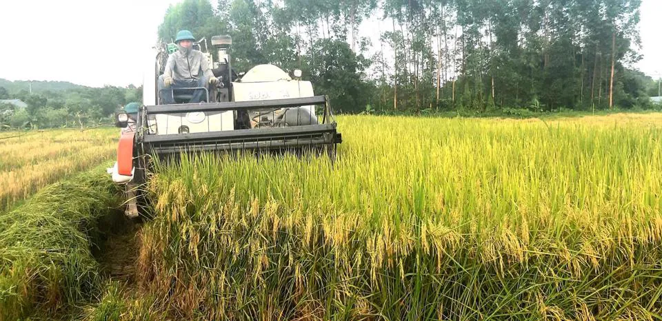 Những chính sách mới nổi bật có hiệu lực từ tháng 2/2023