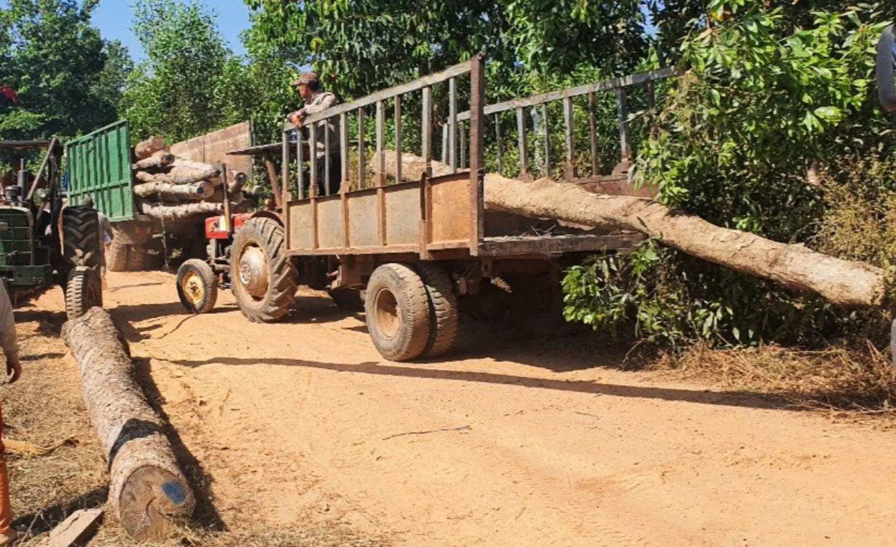 Đồng Nai: Ngang nhiên đốn hạ rừng phòng hộ và thách thức cán bộ