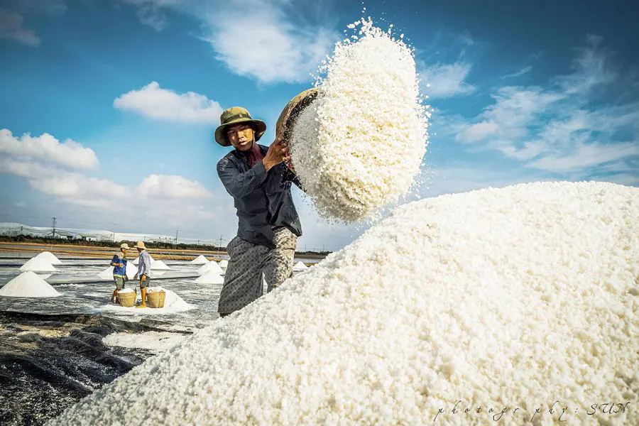 Nghề muối ở Bạc Liêu nổi tiếng từ thời Pháp thuộc.
