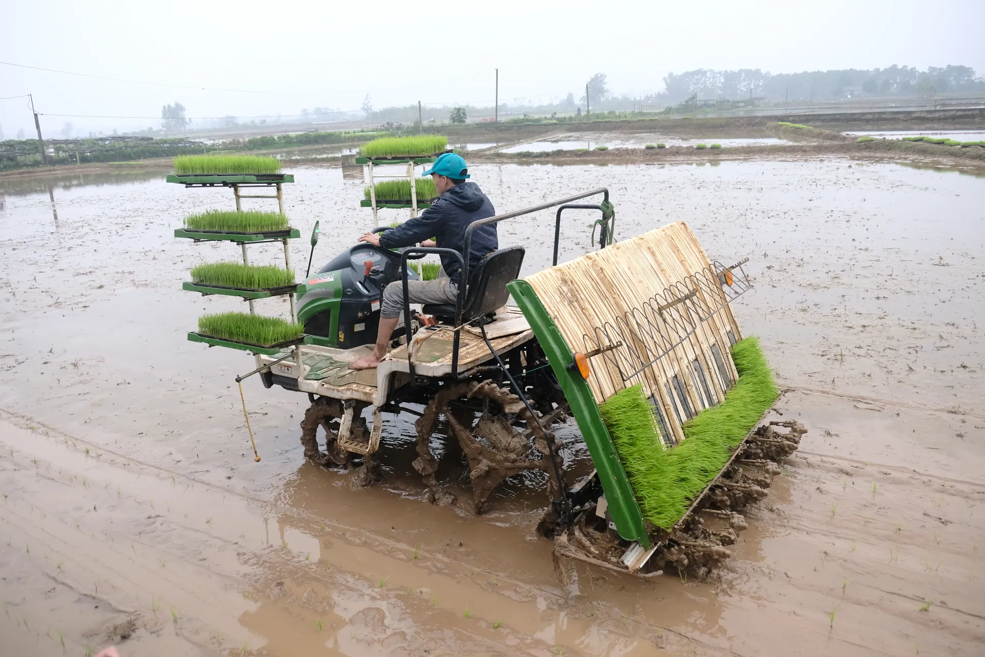 Nông dân huyện Thạch Thất gieo cấy vụ Xuân. Ảnh: Phạm Hùng