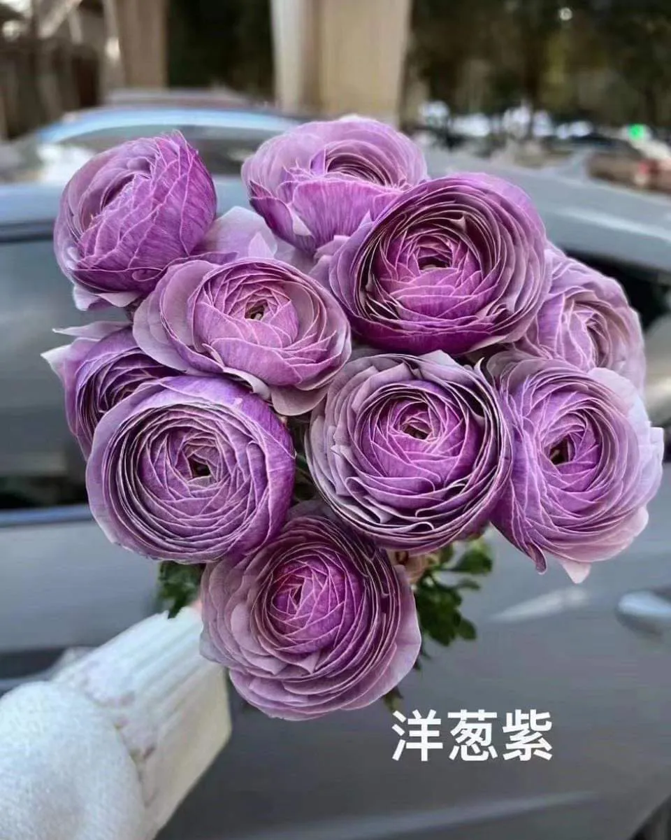 Tử vi hôm nay 25/2/2023 của 12 cung hoàng đạo