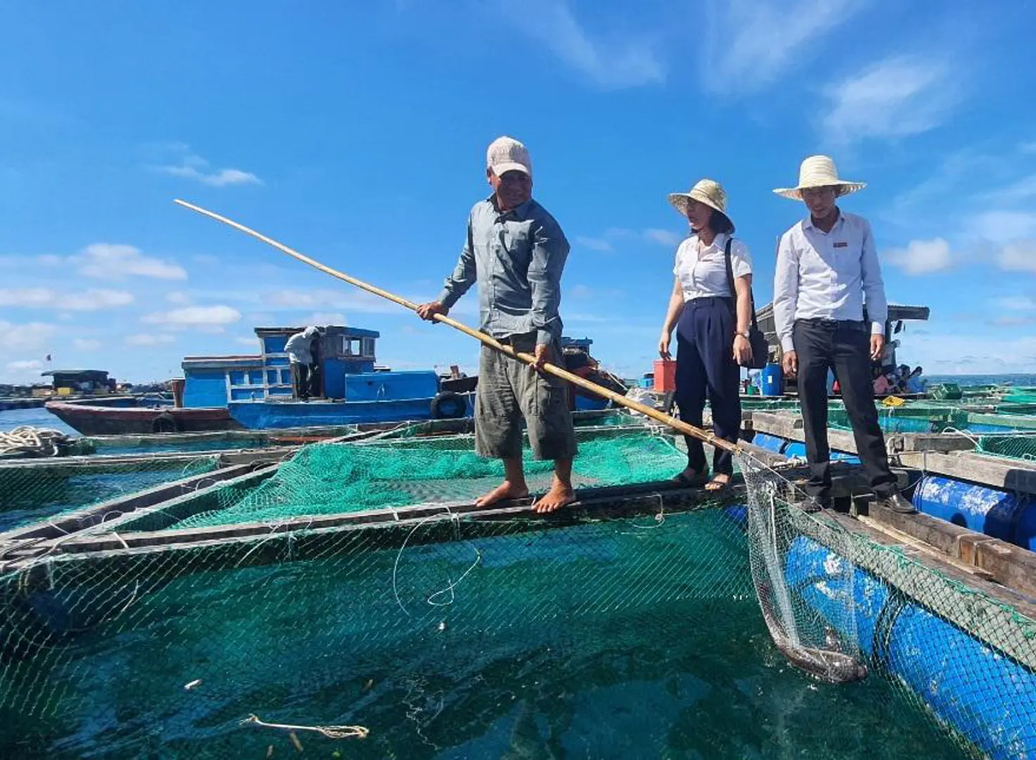 Phát triển nuôi trồng thủy sản trên biển, Quảng Ngãi cần hơn 250 tỷ đồng 