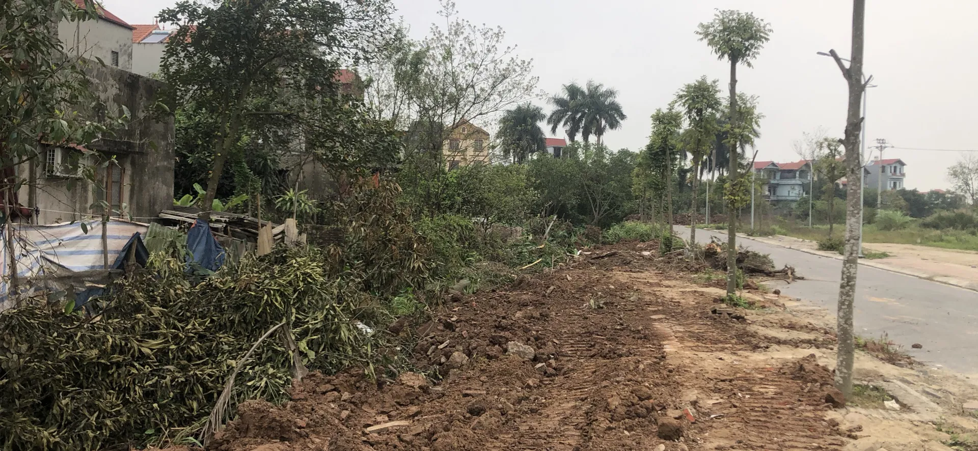 Khu đất nằm trong diện tích chuẩn bị cưỡng chế. Ảnh: Nam Bắc