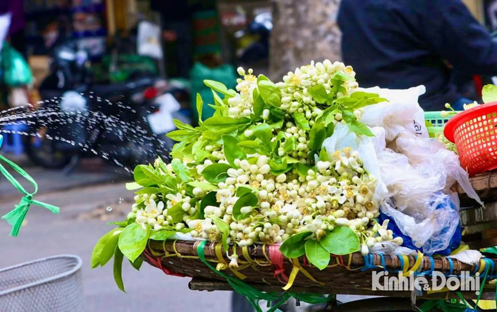 Dự báo thời tiết ngày 10/3/2023: Hà Nội mưa vài nơi, sáng sớm có sương mù