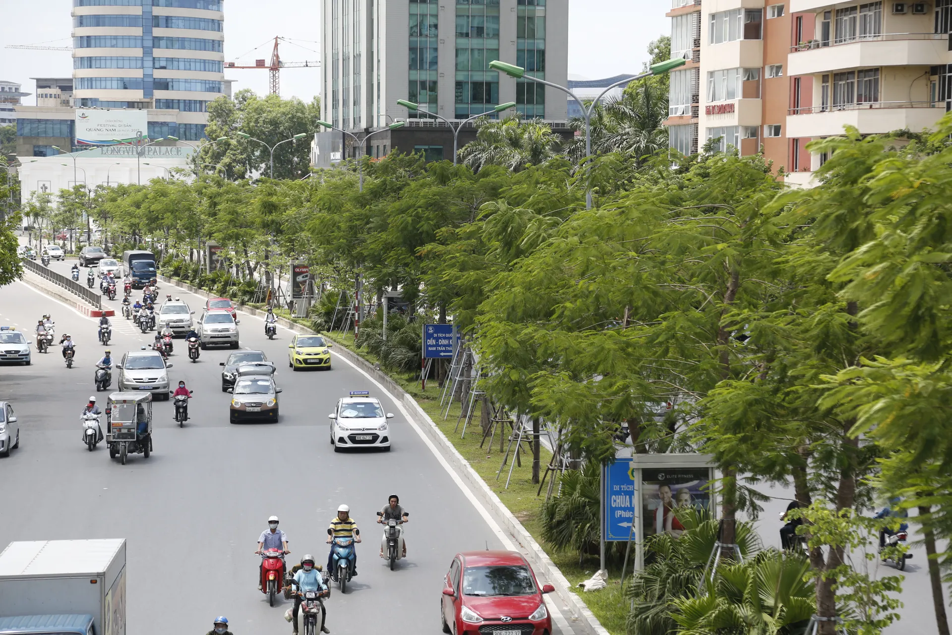 Hàng cây xanh trên phố Xã Đàn. Ảnh: Thanh Hải