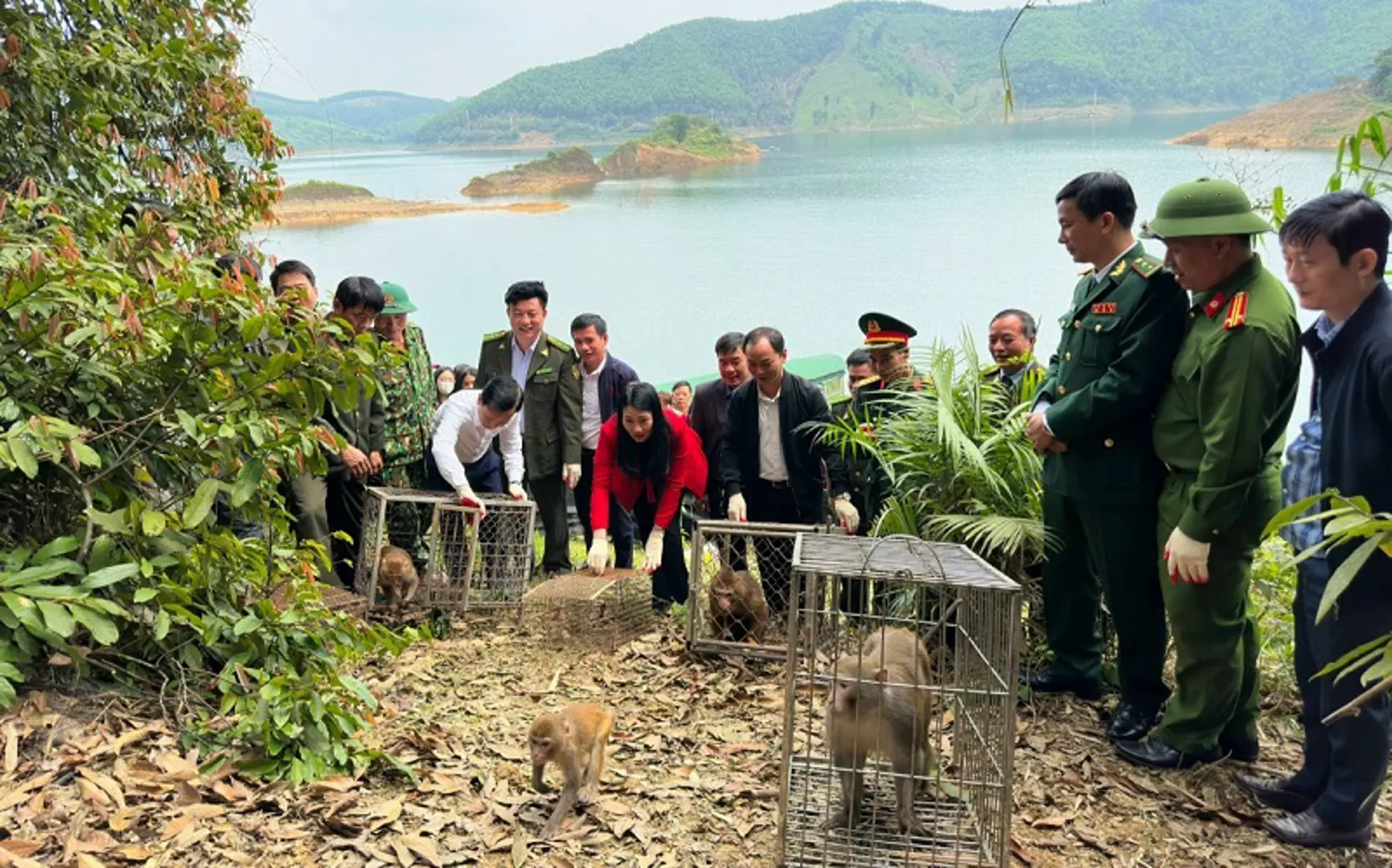 Hà Tĩnh: Thả gần 500 cá thể động vật hoang dã về môi trường tự nhiên