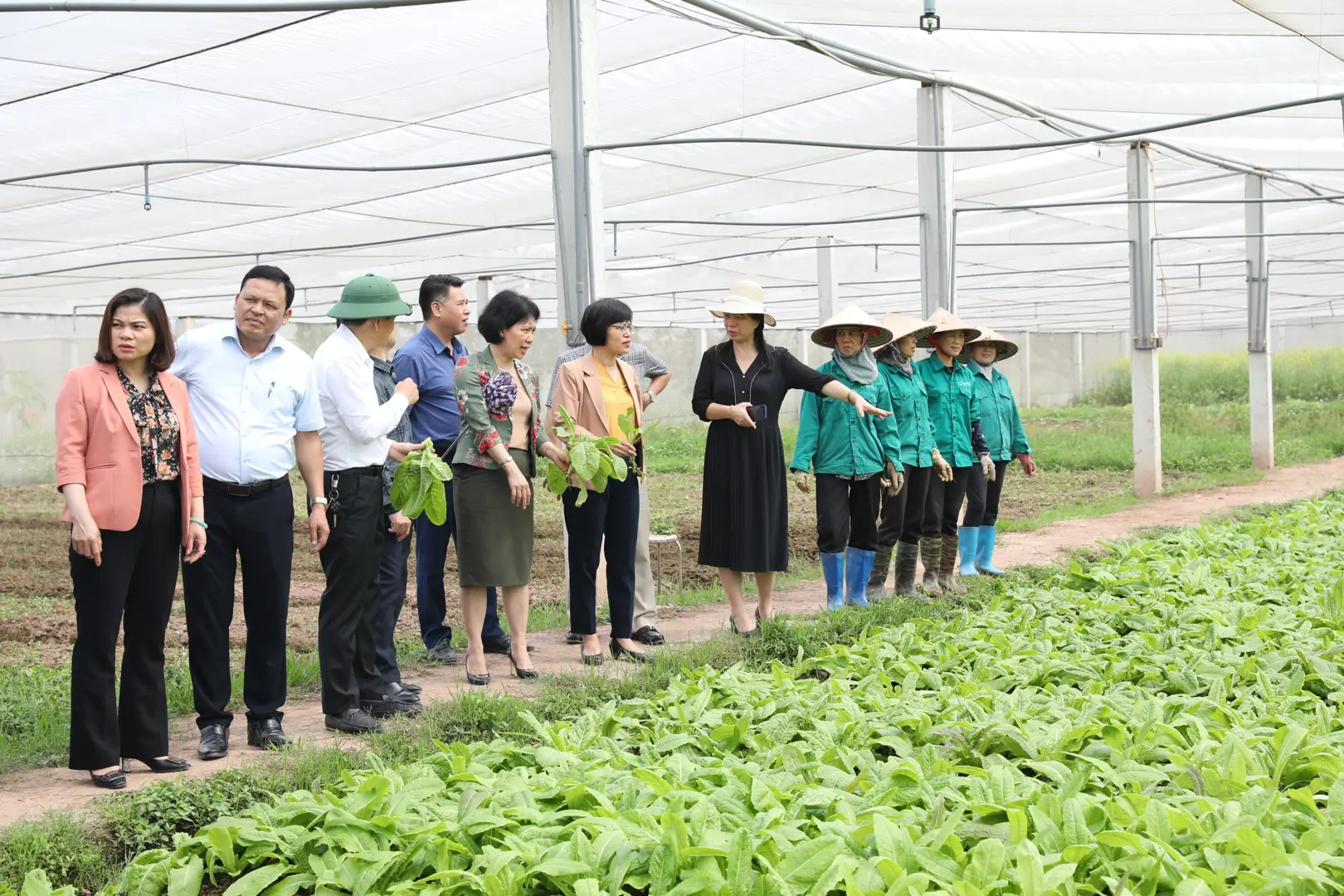 Làm rõ những khó khăn, bất cập trong thực hiện phát triển nông nghiệp, nông thôn