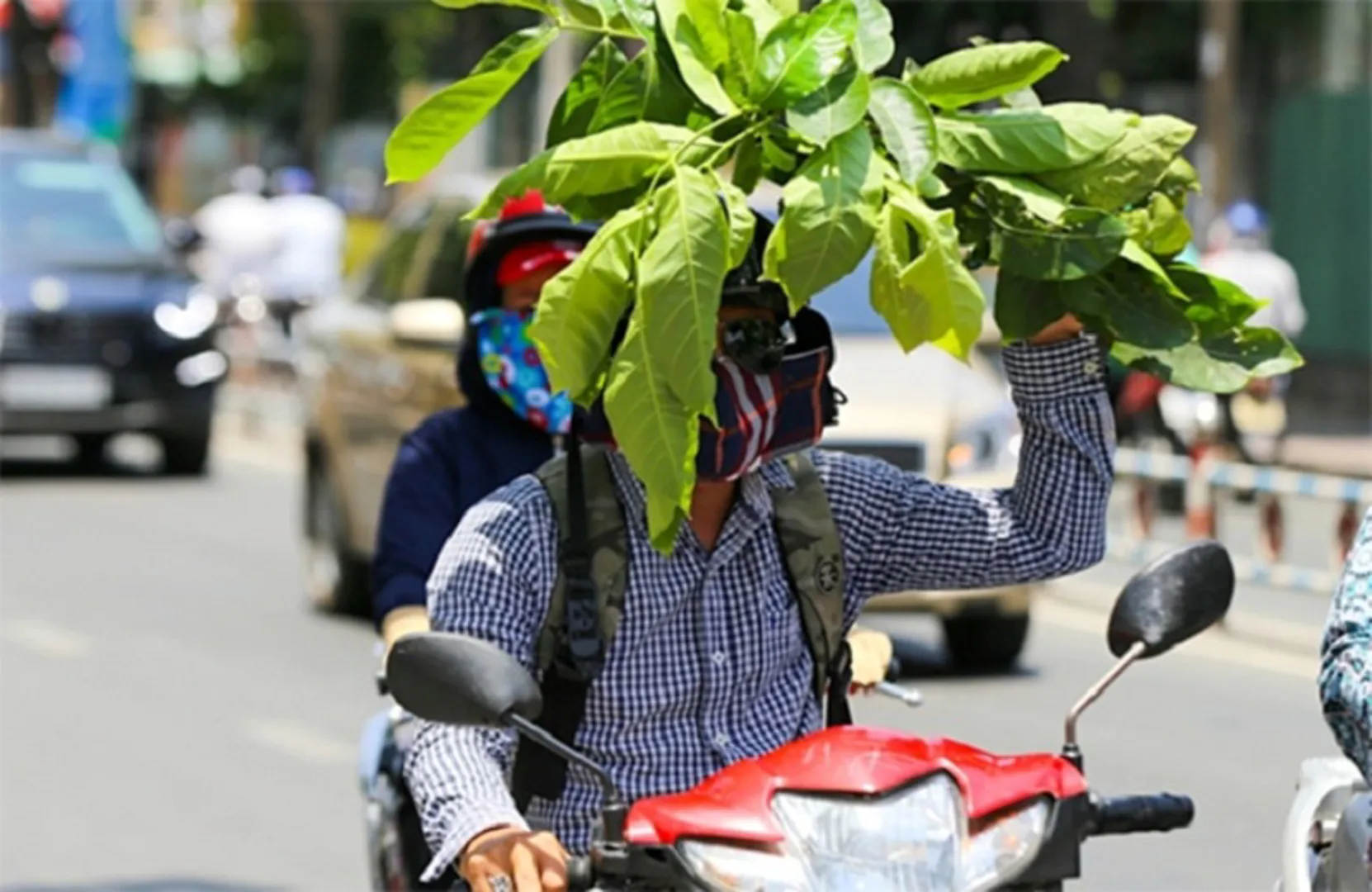 Miền Bắc:1 tuần xuất hiện 4 mùa do thời tiết "tranh chấp nhau", nhiều người ốm