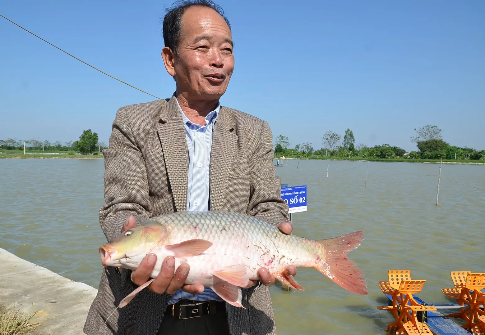 Hà Nội xây dựng nhiều mô hình nông nghiệp hữu cơ chất lượng cao 