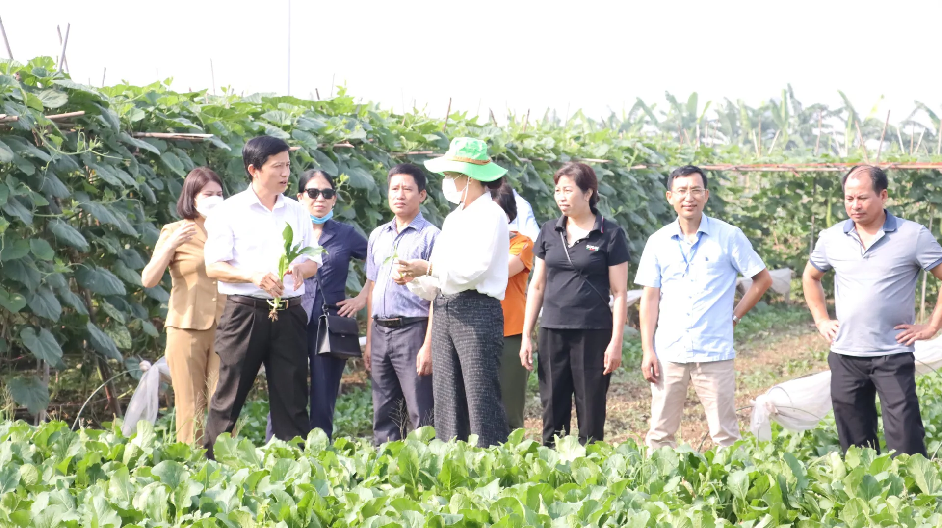 Khuyến nông Hà Nội: Người bạn đồng hành của nhà nông