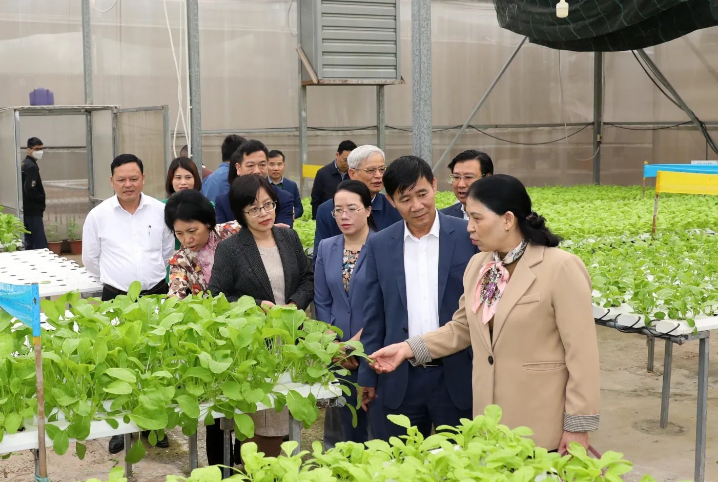 Hà Nội: Quận, huyện chưa "mạnh tay" xóa bỏ chăn nuôi ở khu vực cấm