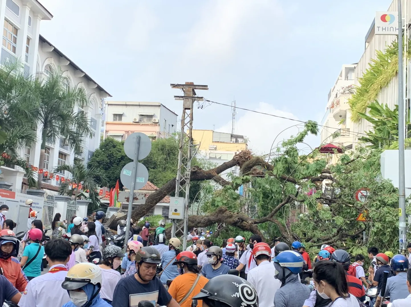 TP Hồ Chí Minh: Truy trách nhiệm vụ cây xanh đổ làm bị thương 7 người