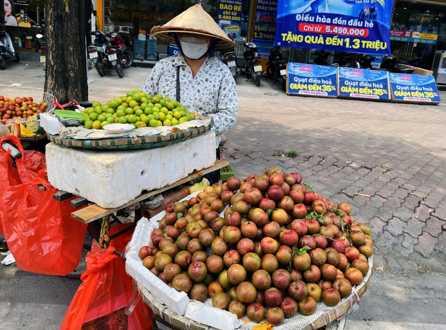 Mơ mận đầu mùa giá cao vẫn đắt khách