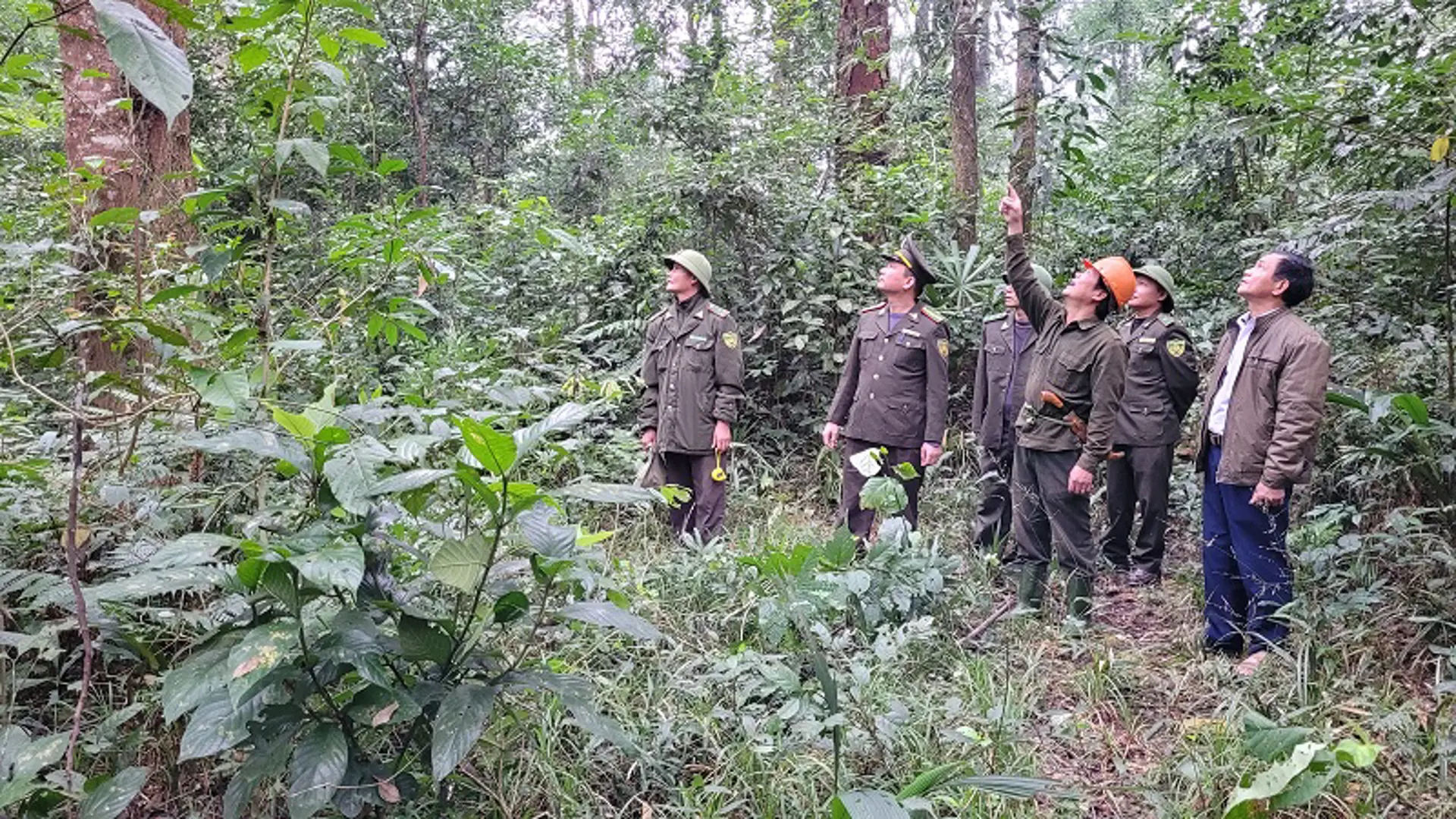 Hà Tĩnh: Chung tay gìn giiữ  “kho báu” nơi biên giới