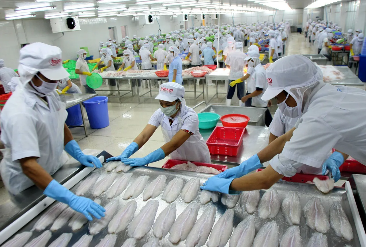 Chế biến xuất khẩu thủy sản tại Cần Thơ. Ảnh: Hùng Huy