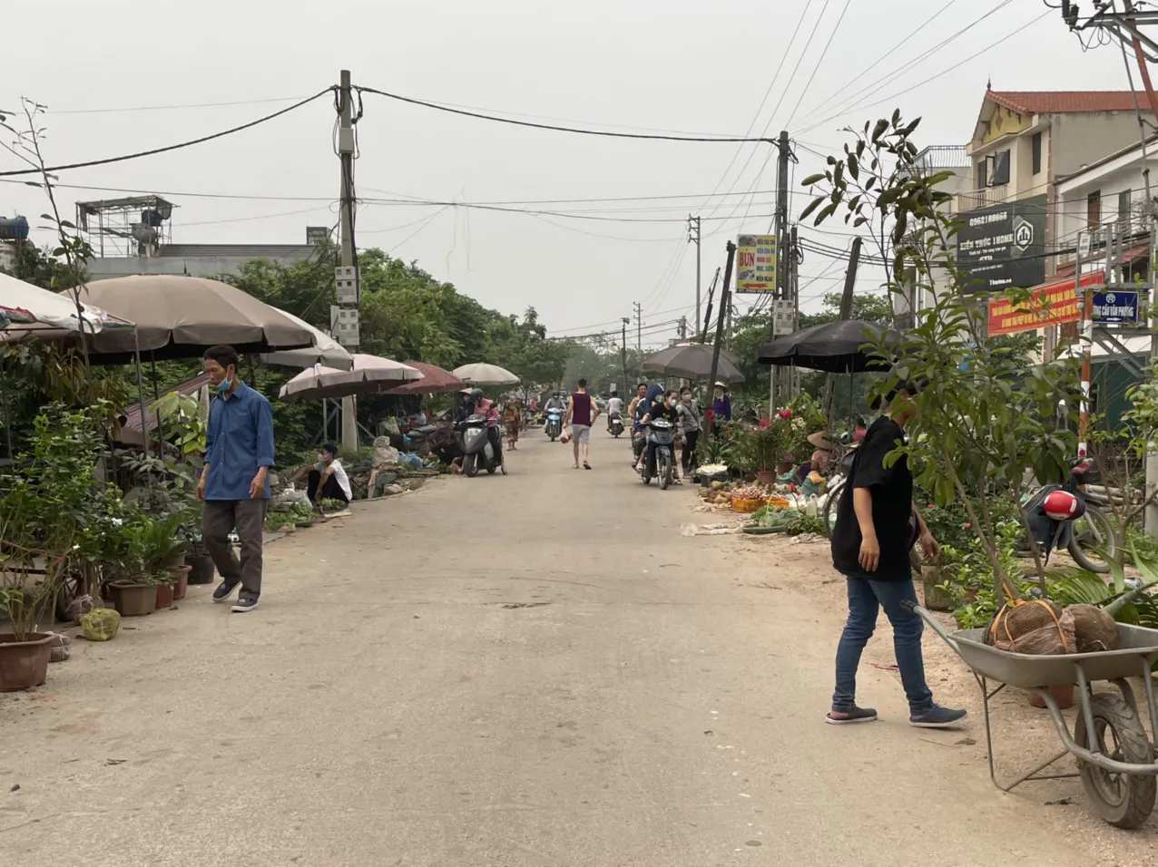 “Chợ cóc” hoạt động trên đê sông Đáy qua xã Phương Trung