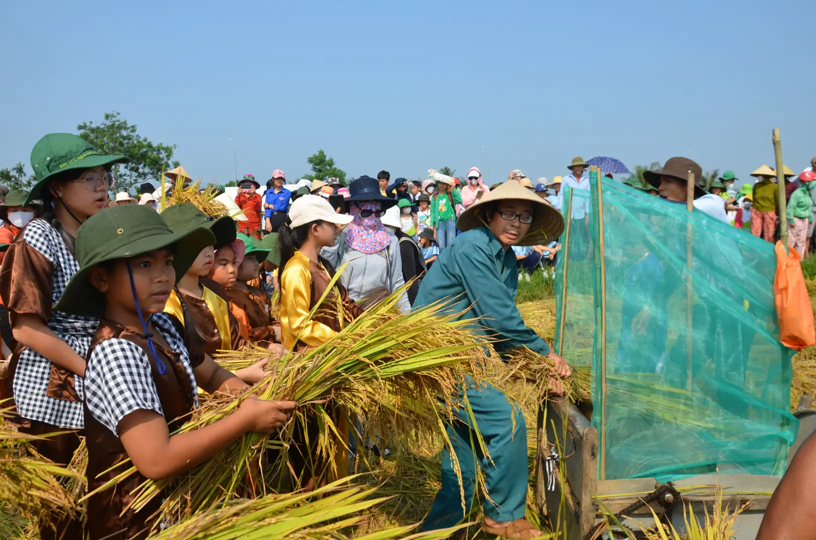 Đặc sắc lễ hội tôn vinh lúa nước